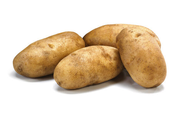 Russet - The Classic Potate